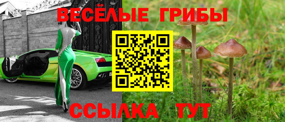 Галлюциногенные грибы мухоморы  Вход с VPN  Воткинск 