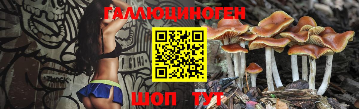 Псилоцибиновые грибы Psilocybine cubensis Воткинск